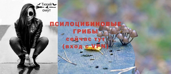 крисы Ладушкин
