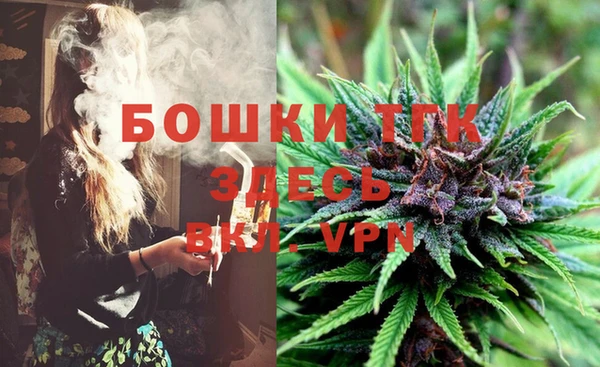 стаф Вязники
