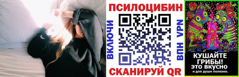 Псилоцибиновые грибы Psilocybe  Облучье 