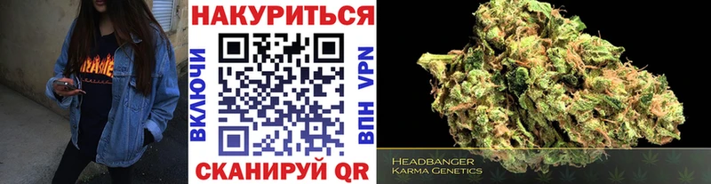 darknet клад  Облучье  Канабис Bruce Banner  что такое  